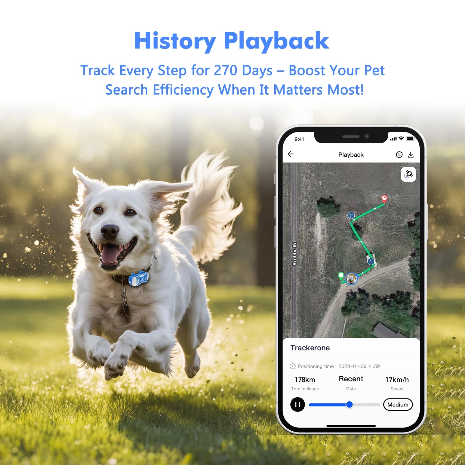 Dog running outdoors with a smartphone displaying a pet tracking app on a blurred background